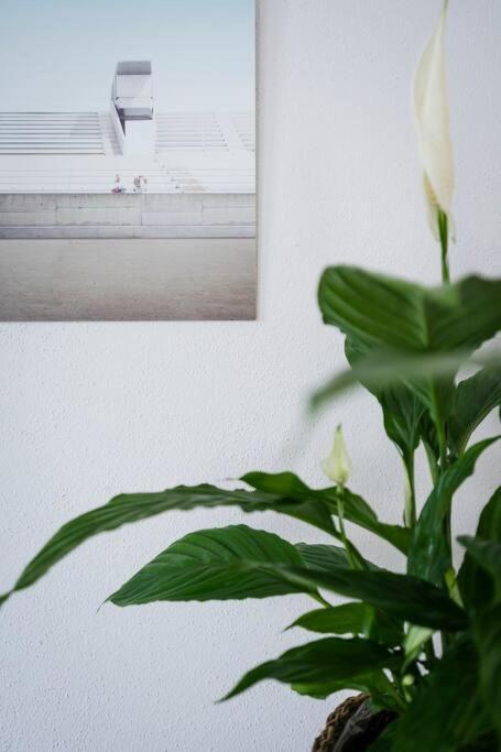 Apartment In Weinstadt-Schnait エクステリア 写真
