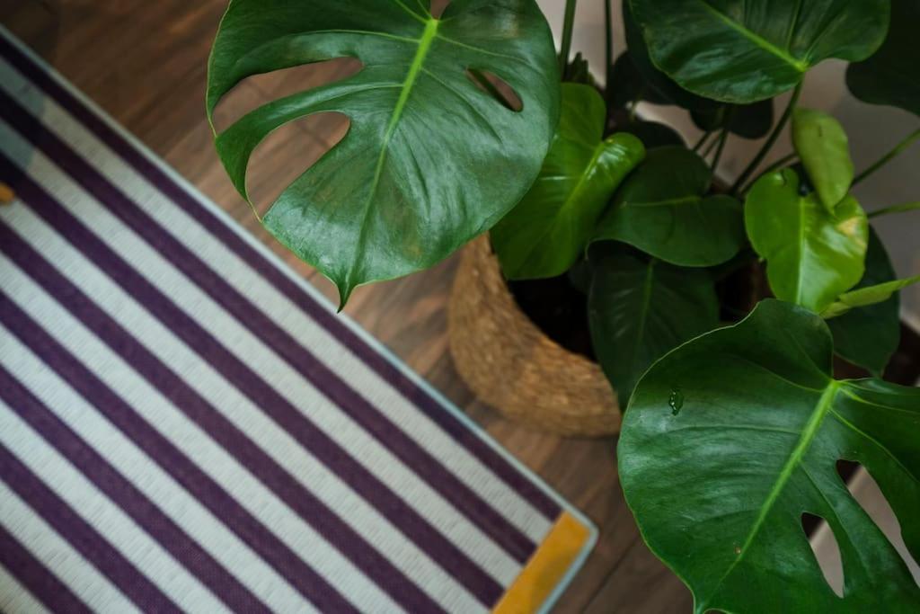 Apartment In Weinstadt-Schnait エクステリア 写真